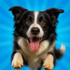 Pocket Paws: My lovely dogs